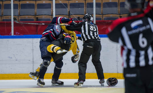 Brock McBride, Vienna Capitals och Joachim Nermark,