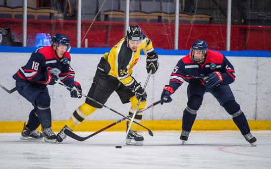Jonathan Fernet, Vienna Capitals