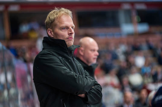 Magnus Hävelid, assisterande tränare Linköping