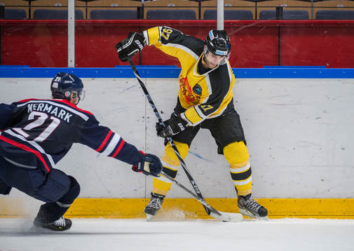 Josh Soares, Vienna Capitals