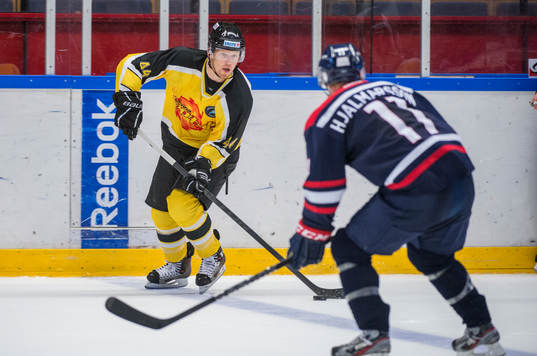 Jamie Frasier, Vienna Capitals