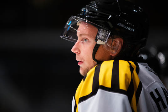 Johan Harju, Brynäs