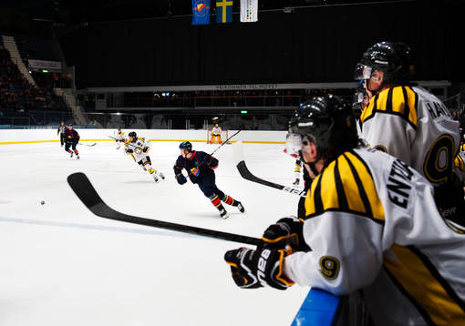 Vy från Brynäs bås