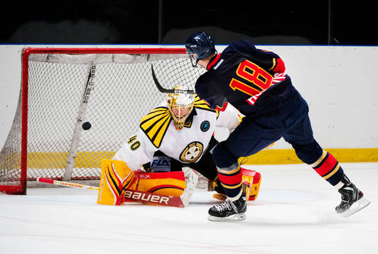 Johan Holmqvist, målvakt, Brynäs, släpper in det