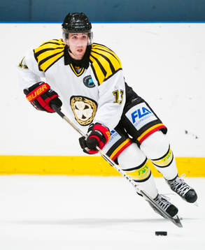 Ryan Gunderson, Brynäs