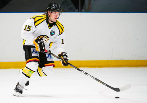 Simon Bertilsson, Brynäs