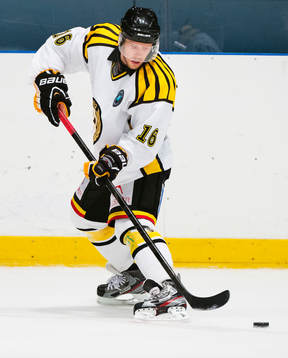 Sebastian Lauritzen, Brynäs