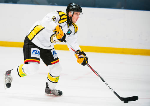 Alexander Hellström, Brynäs