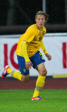 Ludwig Augustinsson, Sverige