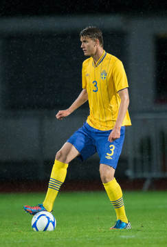 Johan Hammar, Sverige