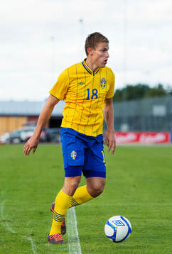 Erik Törnros, Sverige