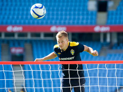 Sebastian Larsson, Sverige