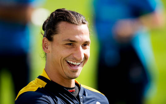 Zlatan Ibrahimovic, Sverige