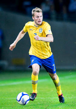 Sebastian Larsson, Sverige