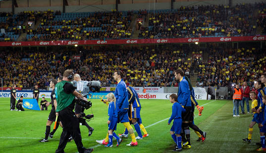 Zlatan Ibrahimovic, Sverige, gör entre