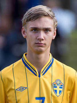 Linus Wahlqvist, Sverige