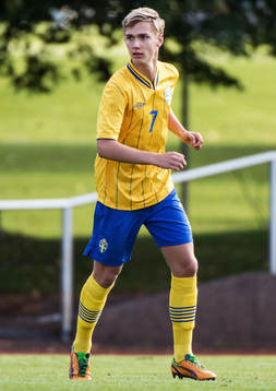 Linus Wahlqvist, Sverige