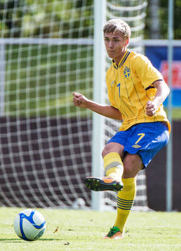 Linus Wahlqvist, Sverige