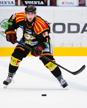 Ryan Gunderson, Brynäs