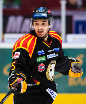 Martin Johansson, Brynäs