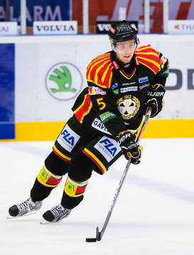 Simon Löf, Brynäs