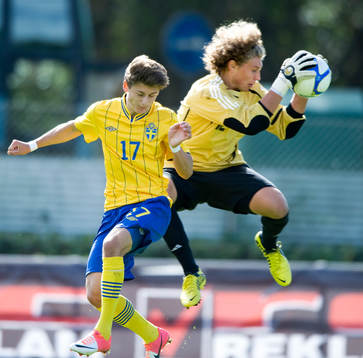 Arber Zeneli, Sverige (Elfsborg)
