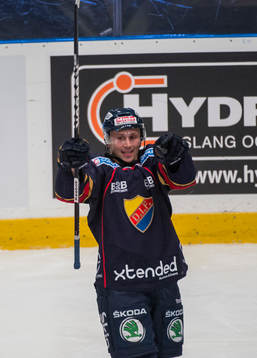 Dustin Johner, Djurgården jublar