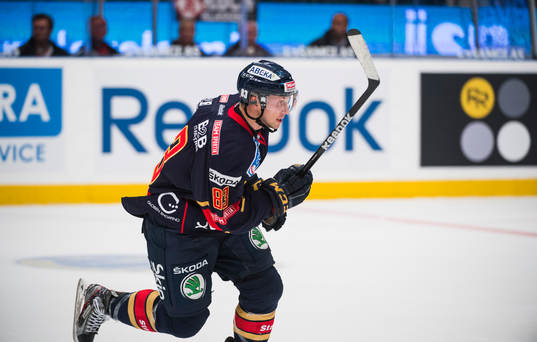 Dustin Johner, Djurgården