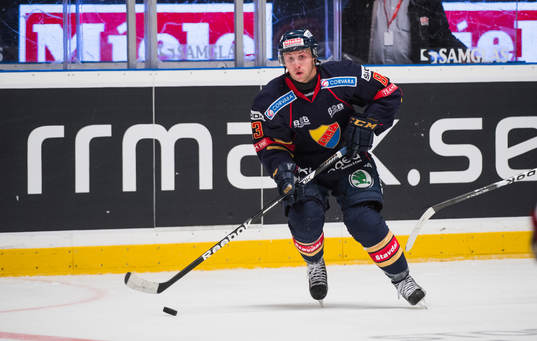 Dustin Johner, Djurgården