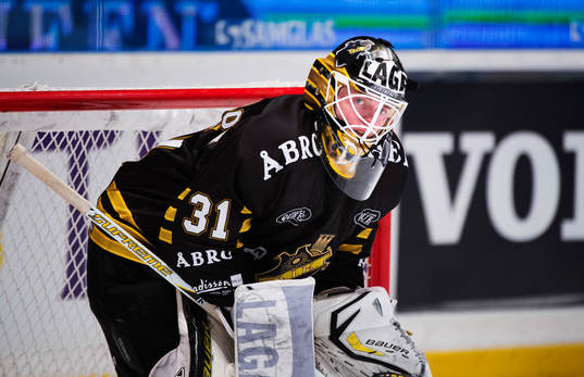 Daniel Larsson, målvakt, AIK