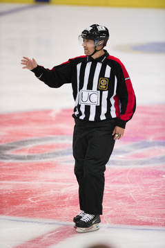 Domare Mikael Holm