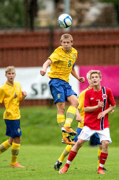 Erik Andersson, Sverige