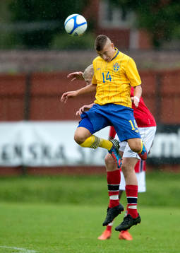 Jordan Larsson, Sverige