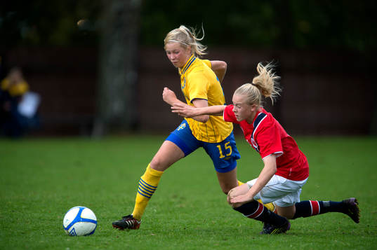 Ellen Löfqvist, Sverige