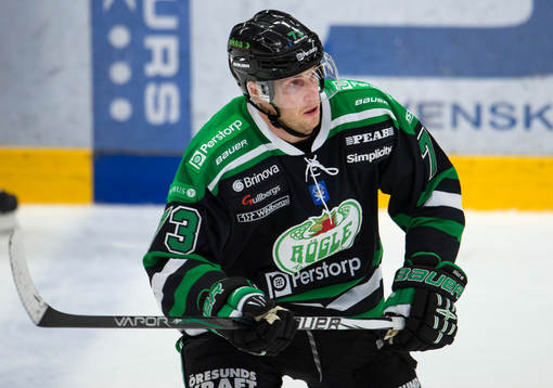 Mike Iggulden, RÖgle