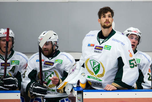 Alexander Salak, mÄ•lvakt, Färjestad