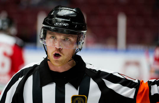 Johan Häll, domare
