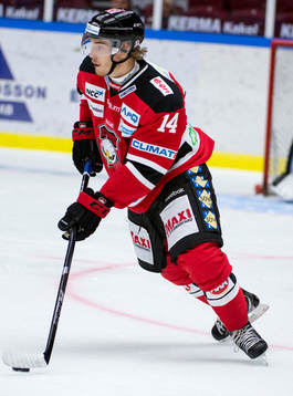 Stefan Lassen, Malmö Redhawks