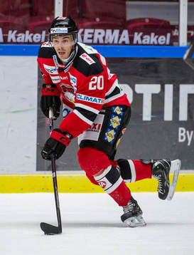 Henrik Hetta, Malmö Redhawks