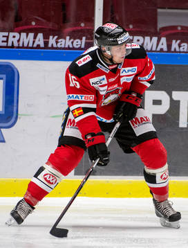 Magnus Häggström, Malmö Redhawks