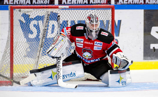 Pontus Sjögren, måvakt, Malmö Redhawks