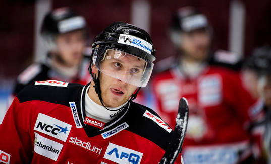Fredrik Storm, Malmø Redhawks