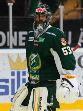 Alexander Salak, Färjestad