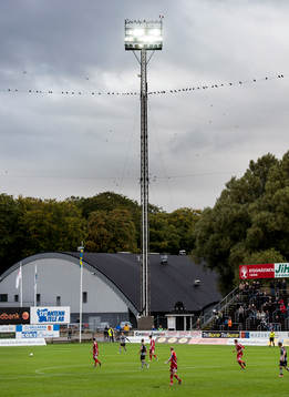 fåglar tittar på fotboll