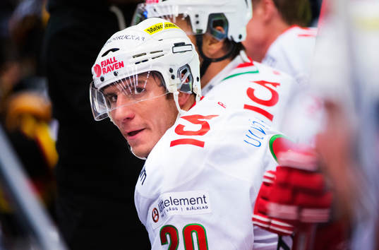 Alexander Steen, Modo, på bänken