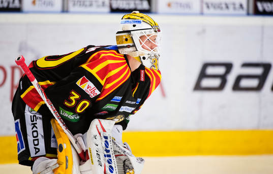 Robin Rahm, målvakt, Brynäs