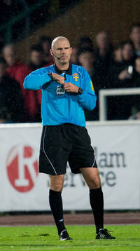 Domare Michael Lerjeus