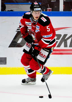 Johan Björk, Malmö Redhawks