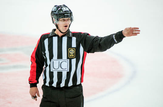 Marcus Vinnerborg, domare