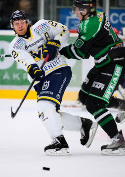 David Petrasek, HV71